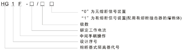 HG1系列熔断器式隔离器型号及含义